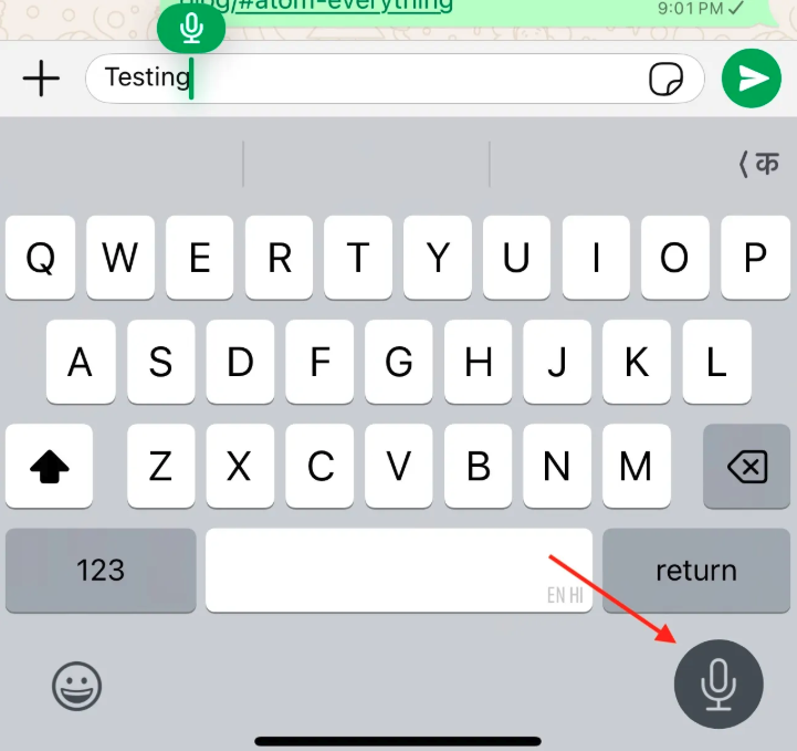 Dictate Text